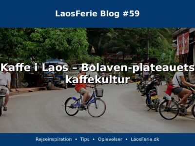 Kaffe i Laos – Bolaven-plateauets kaffekultur Kaffe i Laos – Bolaven-plateauets kaffekultur