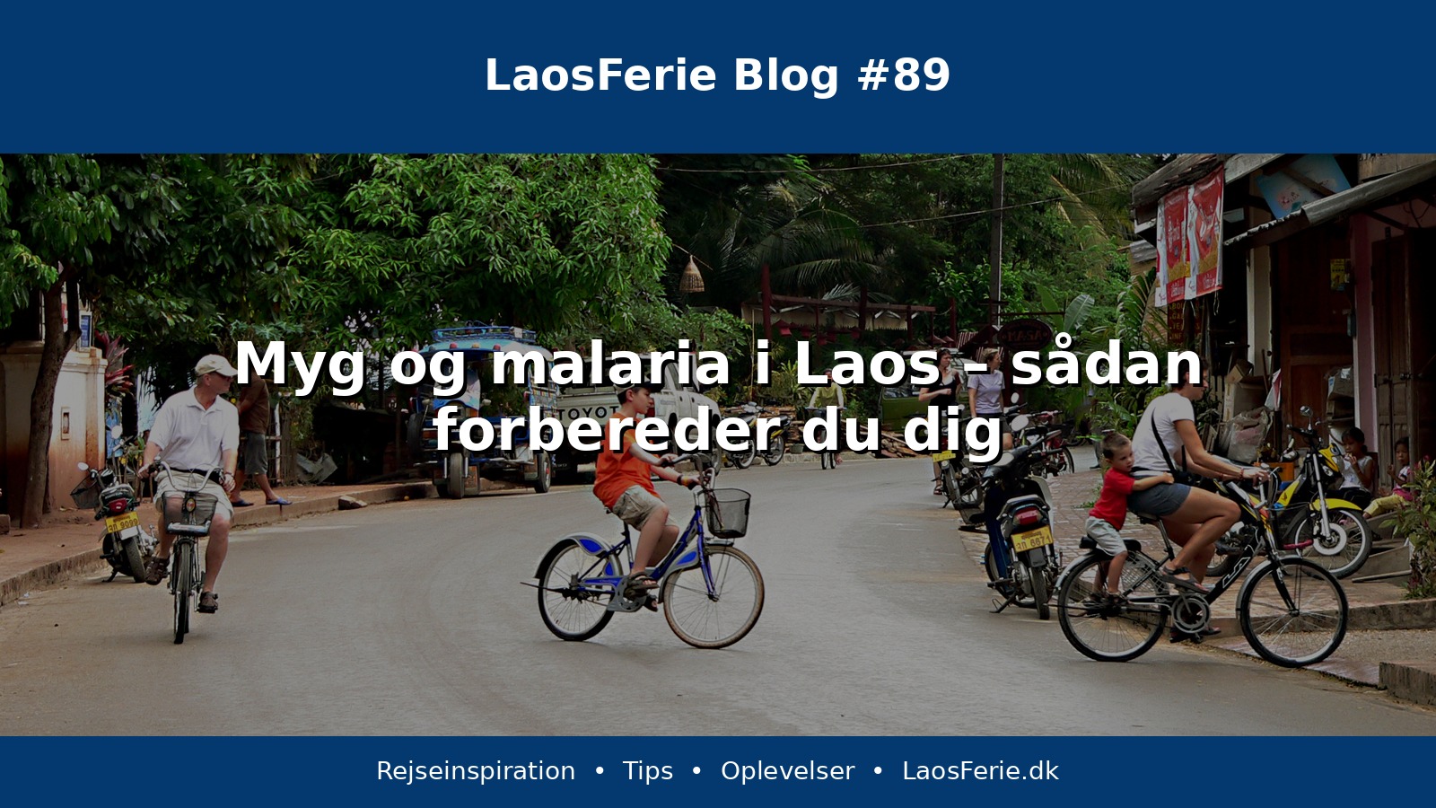 Myg og malaria i Laos – sådan forbereder du dig