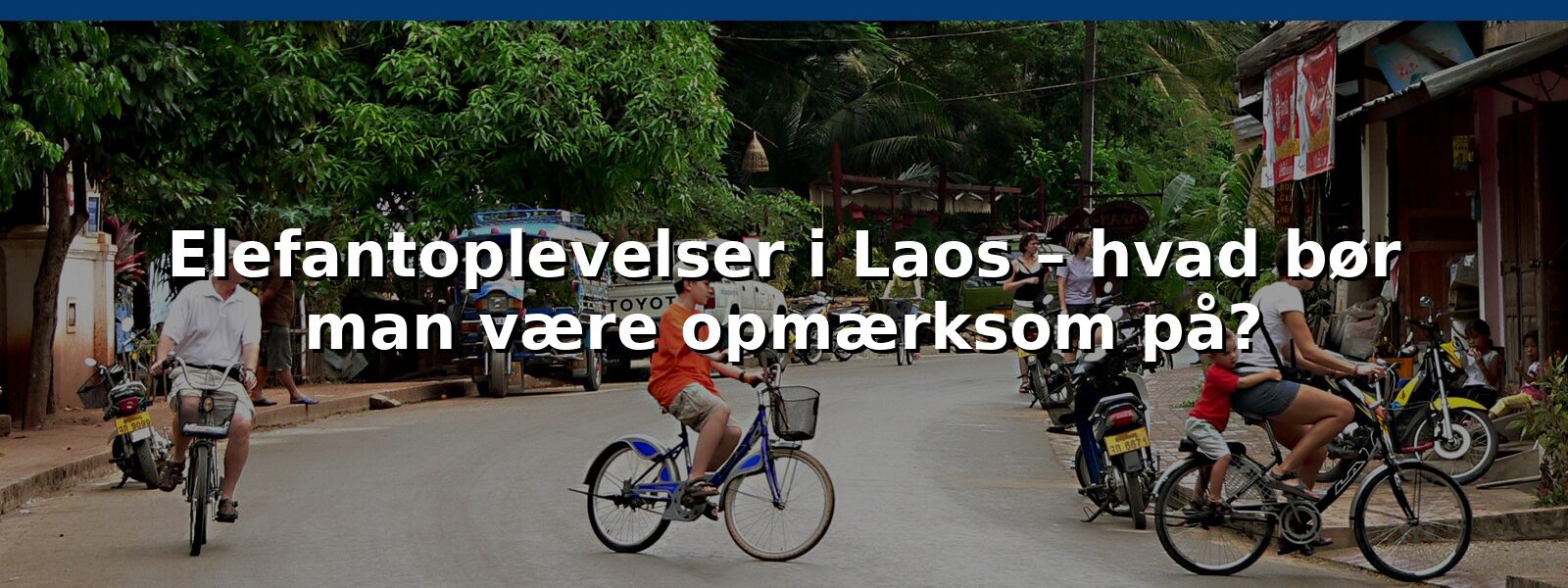 Elefantoplevelser i Laos – hvad bør man være opmærksom på?