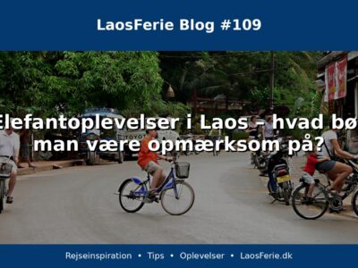 Elefantoplevelser i Laos – hvad bør man være opmærksom på? Elefantoplevelser i Laos – hvad bør man være opmærksom på?