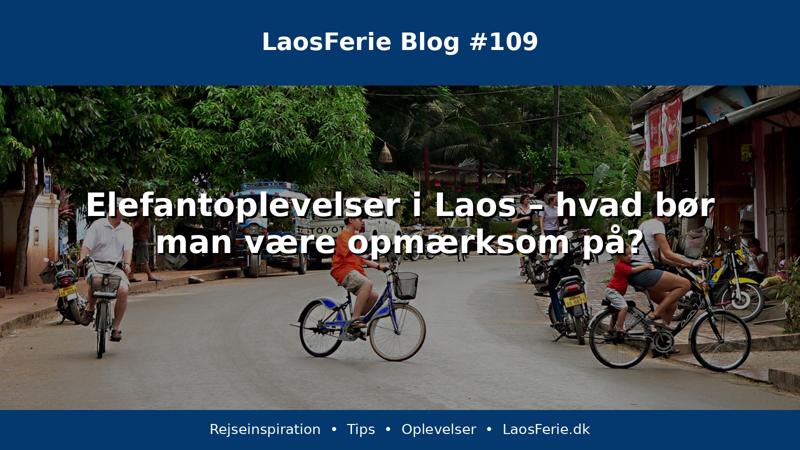 Elefantoplevelser i Laos – hvad bør man være opmærksom på?
