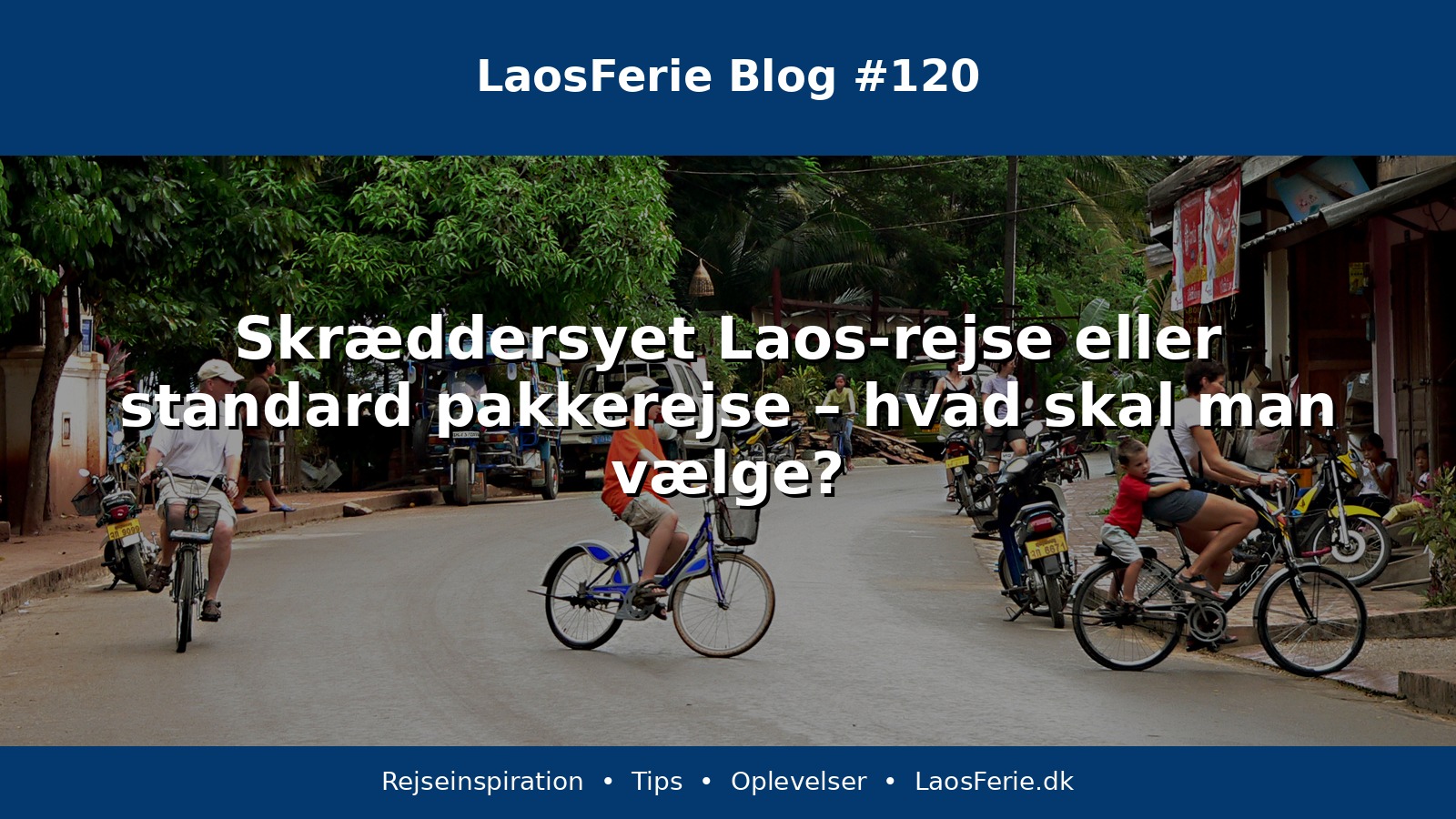 Skræddersyet Laos-rejse eller standard pakkerejse – hvad skal man vælge?